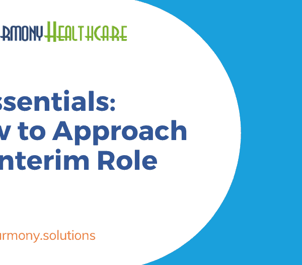 How to Approach an Interim Role